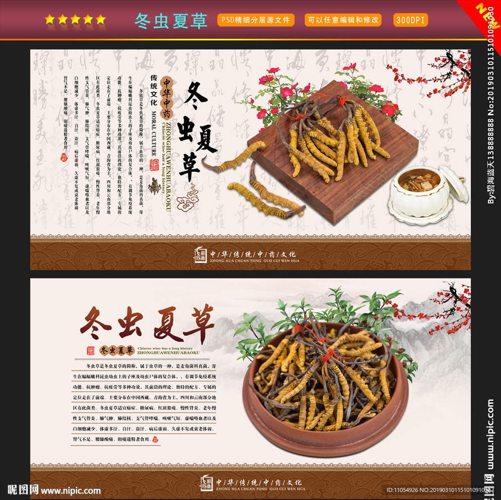冬虫夏草