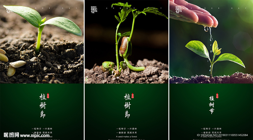 植树节