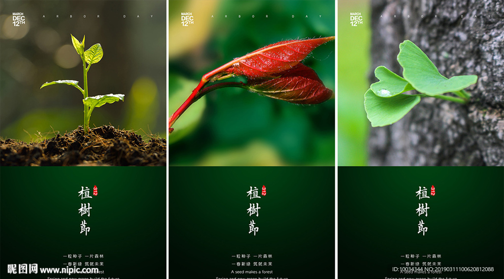 植树节