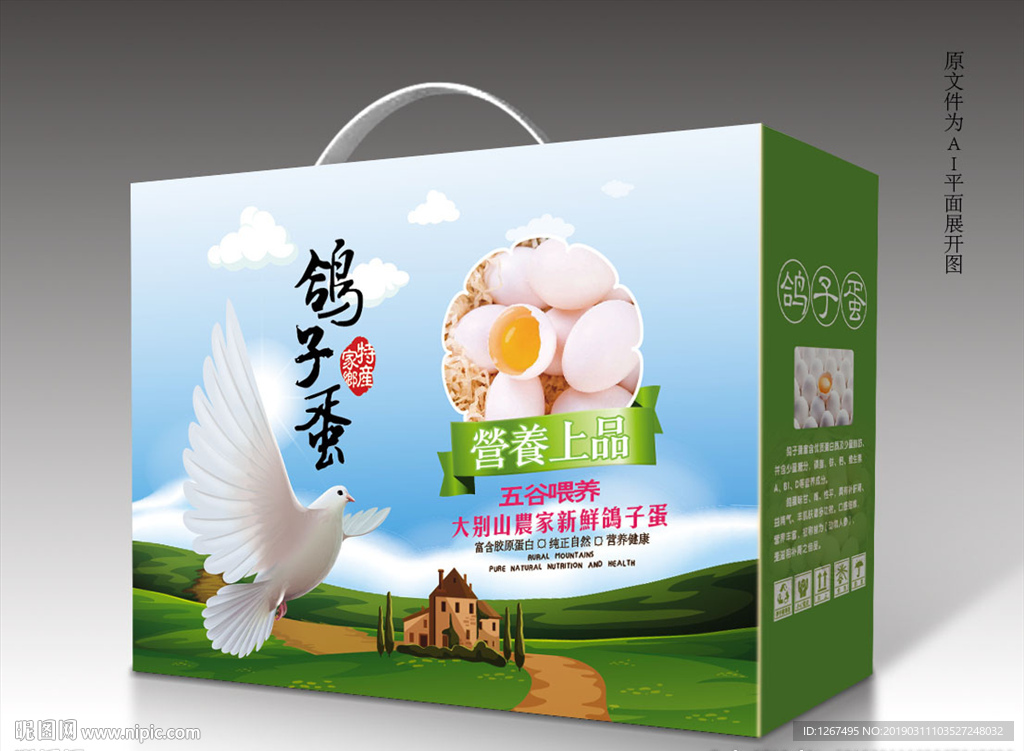 鸽蛋包装