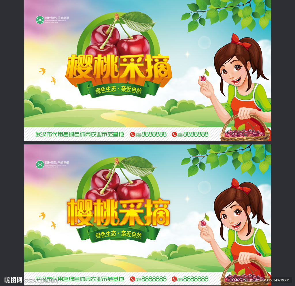 樱桃采摘