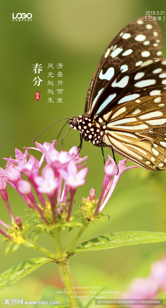 春分