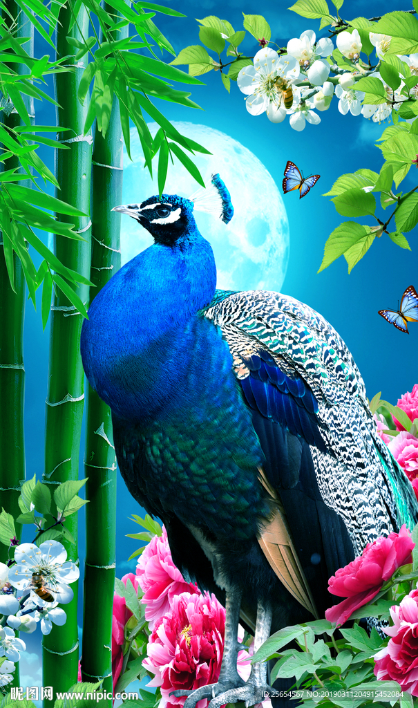 花开富贵孔雀玄关屏风背景电视墙