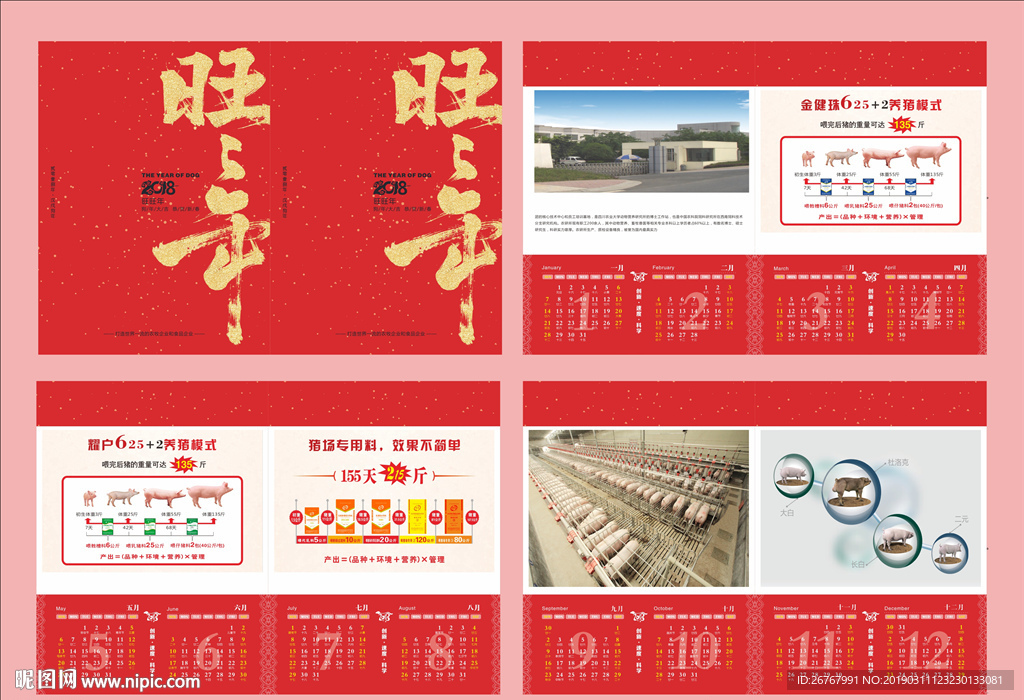 农业养猪挂历