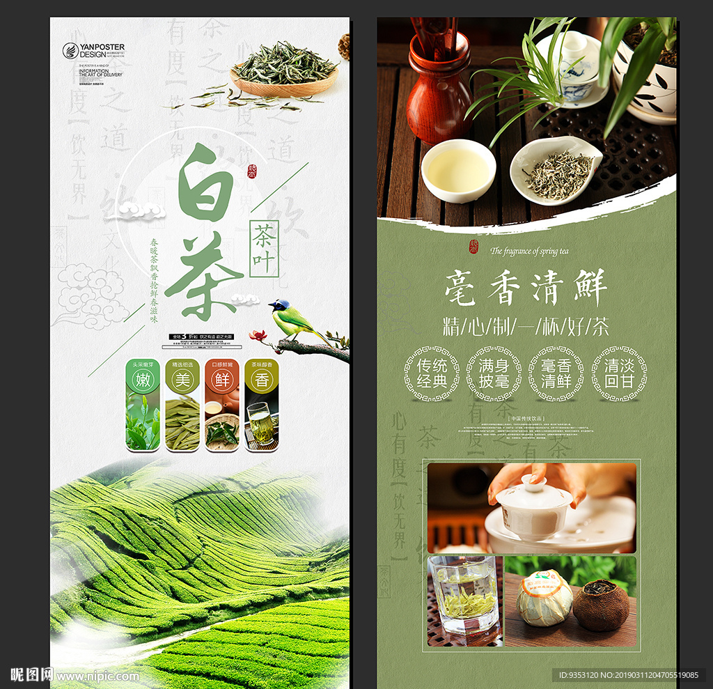白茶