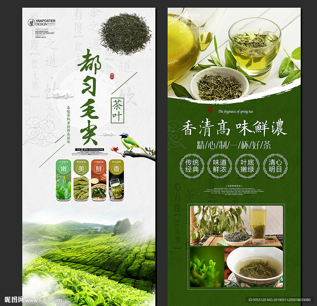都匀毛尖