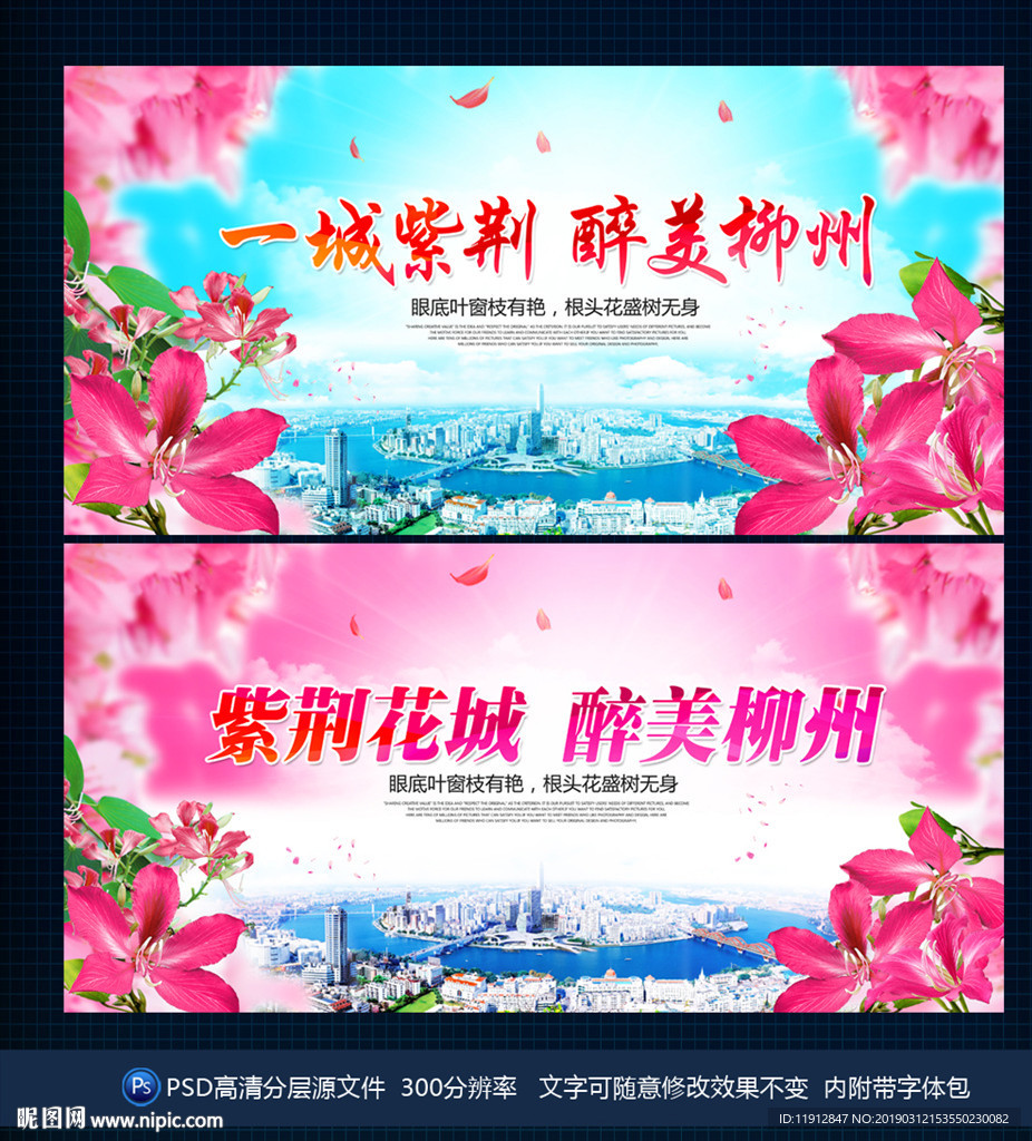 紫荆花