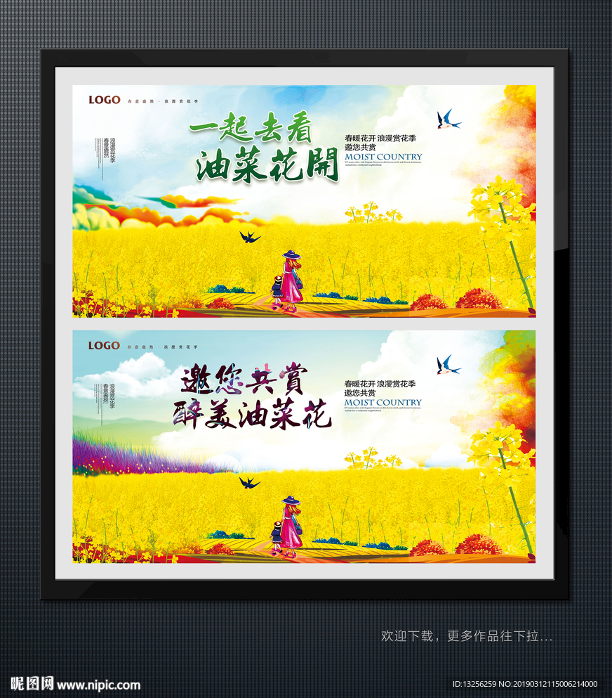 油菜花