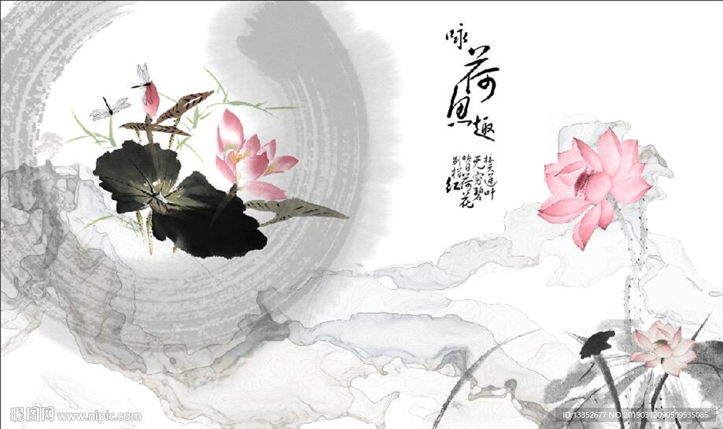花鸟 荷花