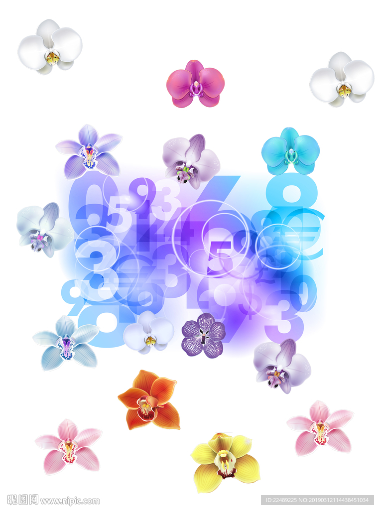 数字花