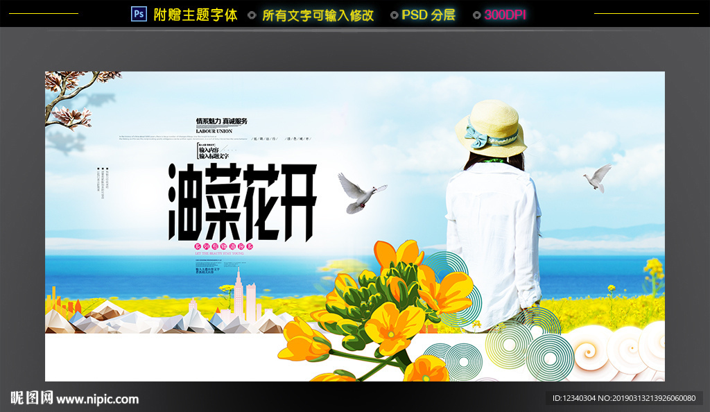 油菜花