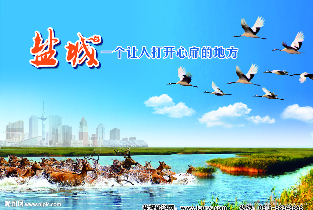盐城自然保护区梅麓丹顶鹤