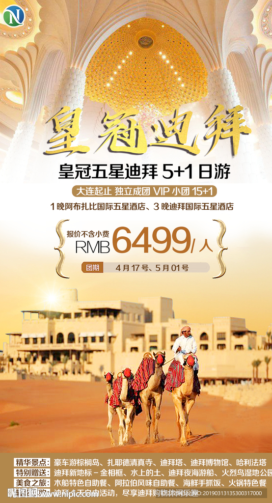 迪拜旅游 沙漠骆驼 高端