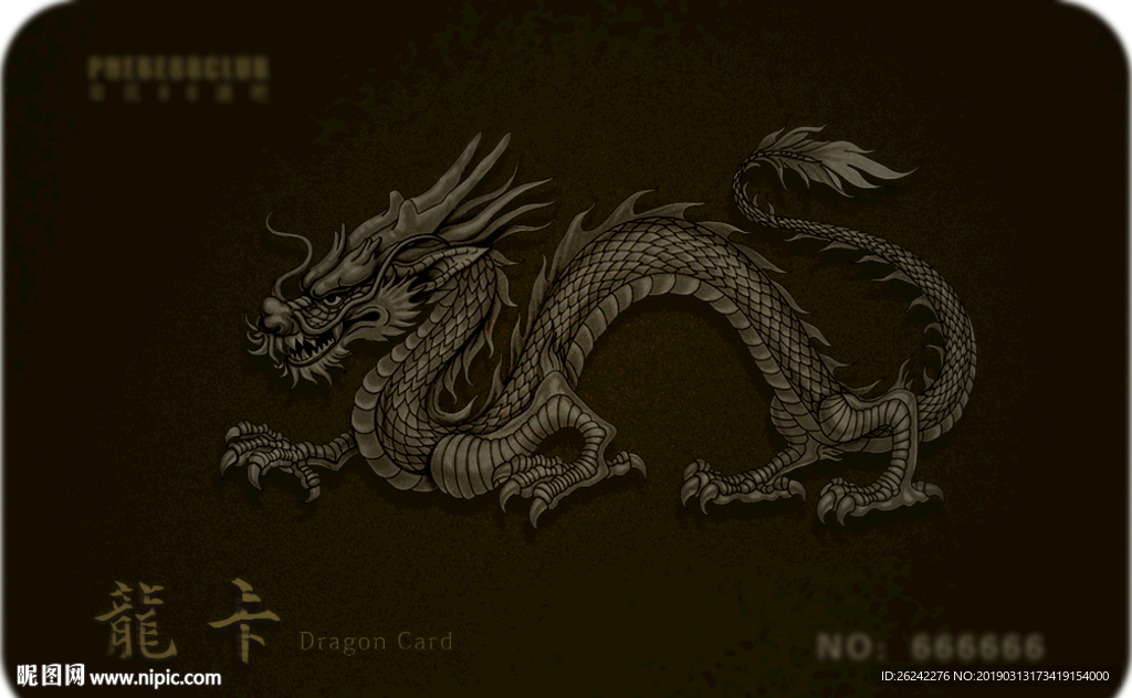 龙卡