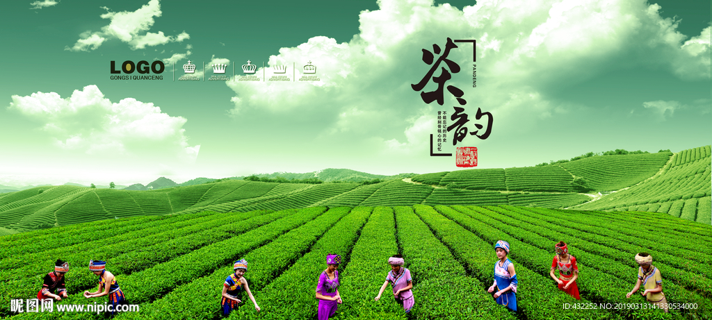 新茶上市
