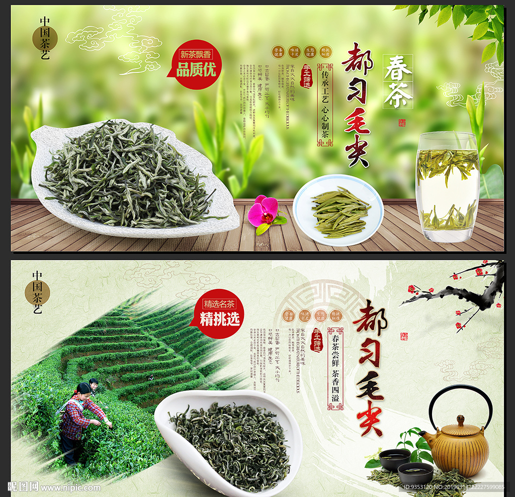 都匀毛尖