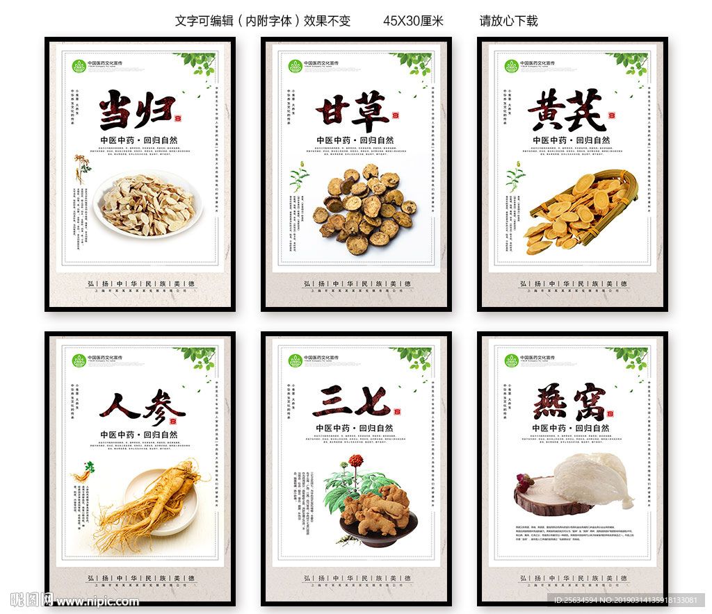 中药宣传海报