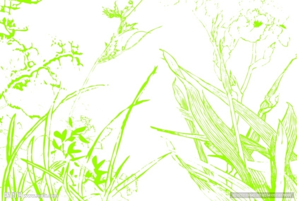 兰花儿手绘画