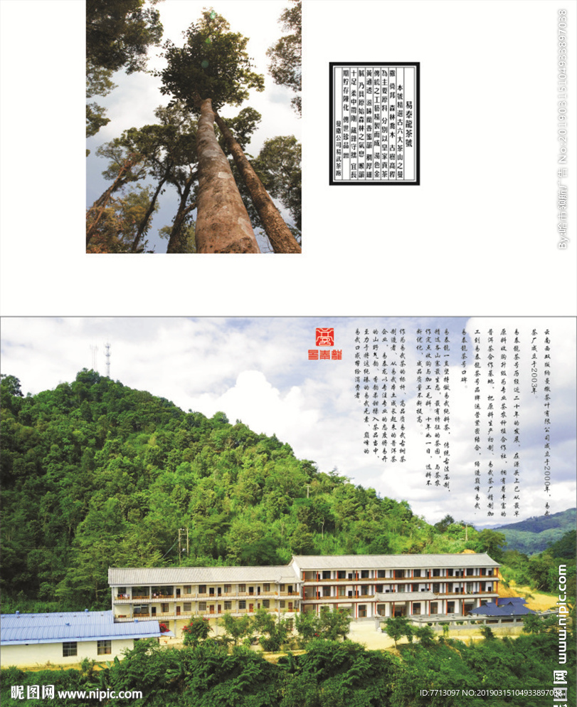 易泰龙