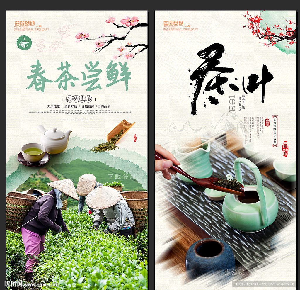 春茶
