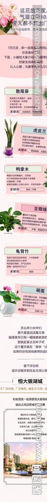 微信长图