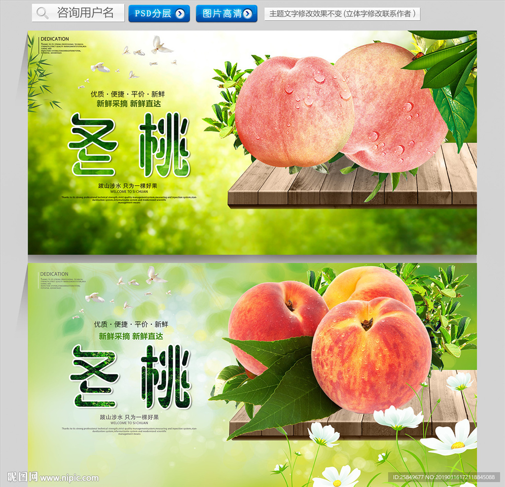 冬桃