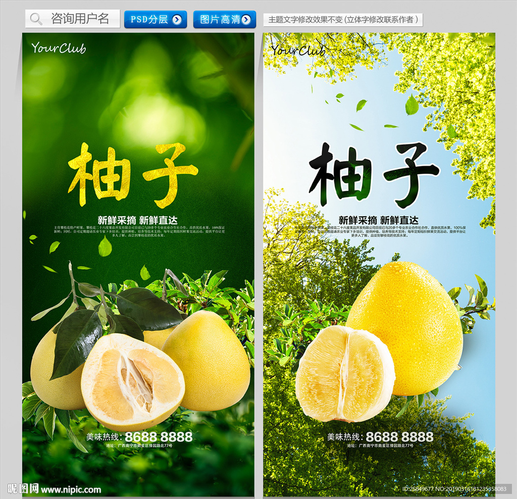 柚子