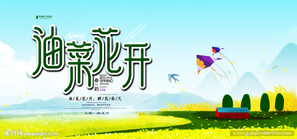 油菜花