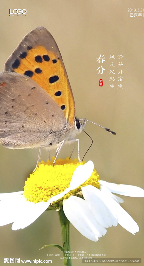 春分