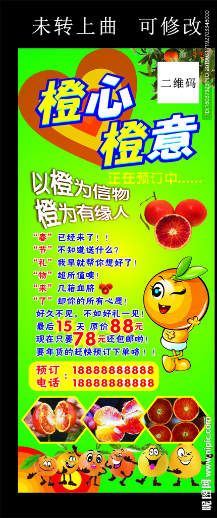 血脐橙-宣传展架
