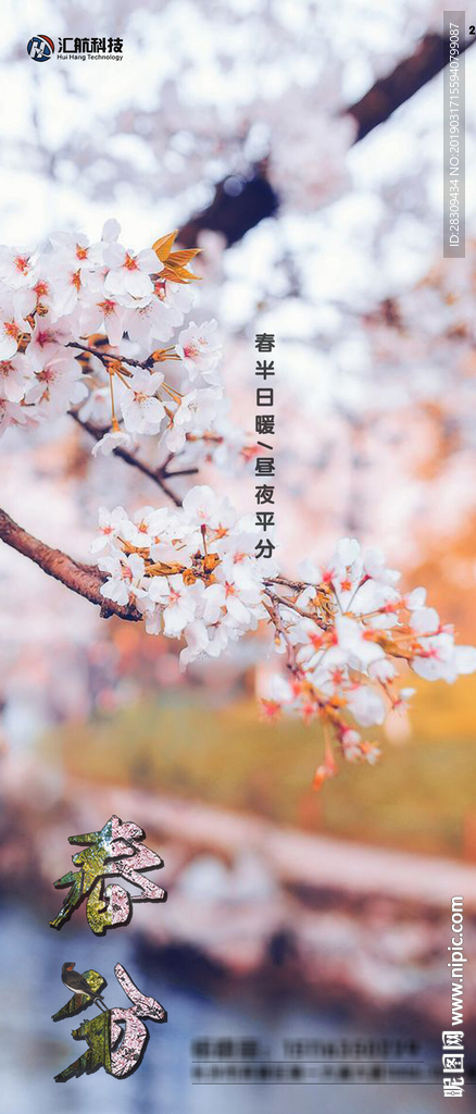二十四节气春分热点海报