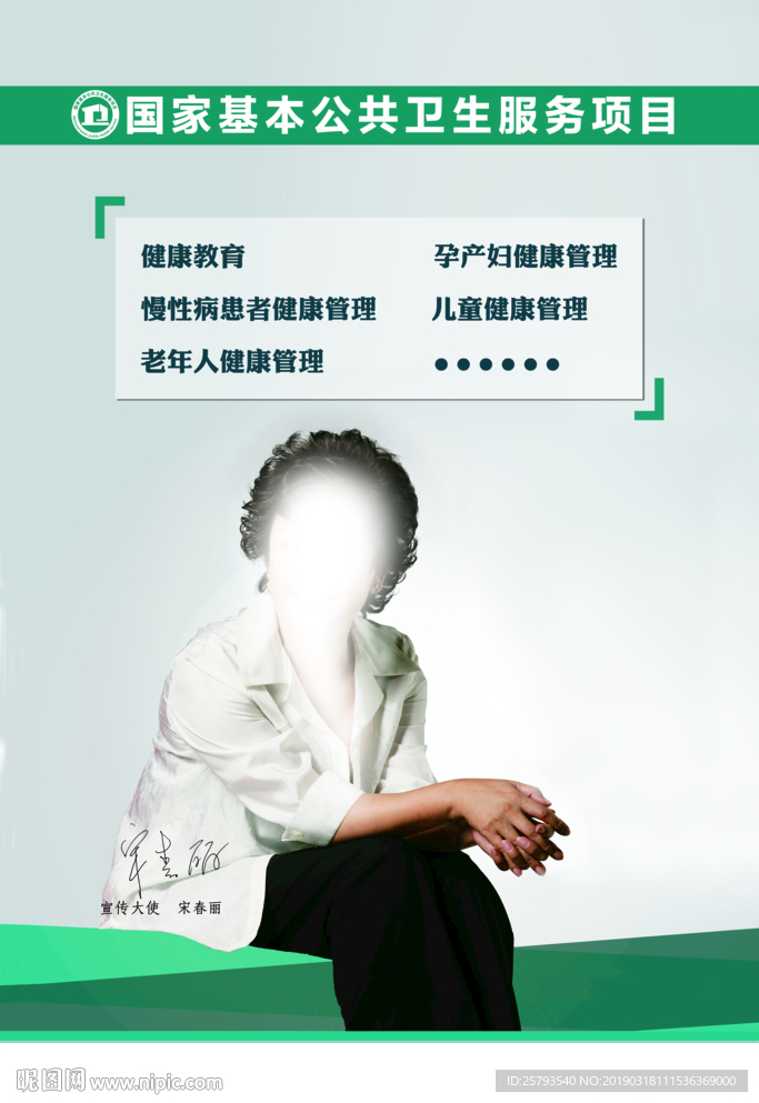 国家基本公共 卫生服务项目