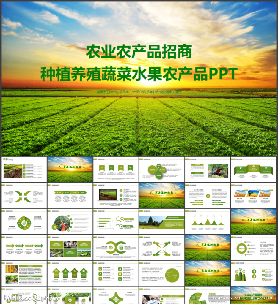 农业农产品招商宣传PPT