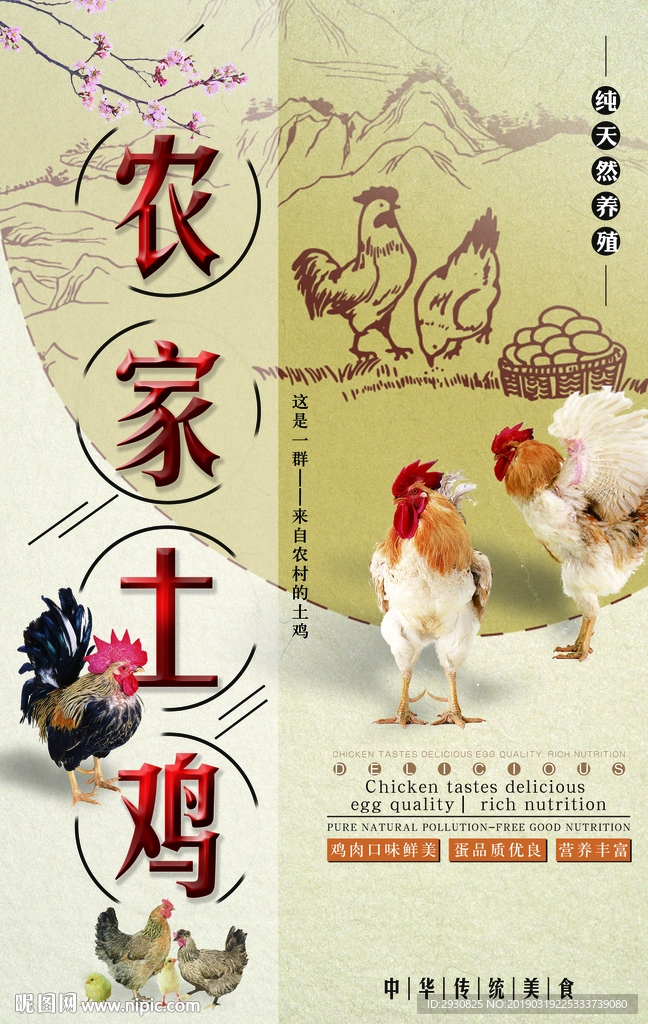 土鸡