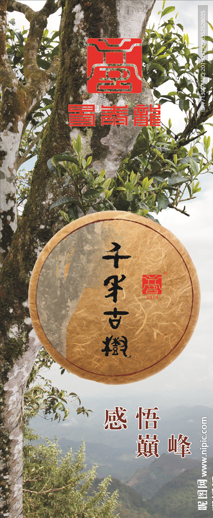 易泰龙展架