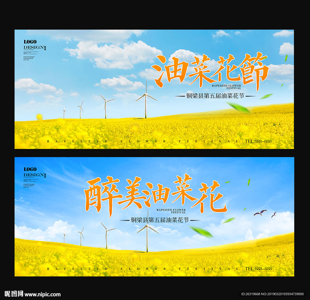 油菜花