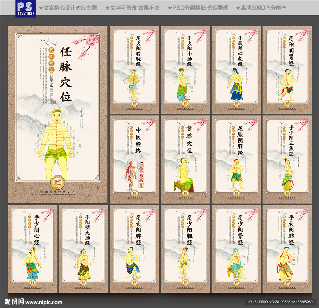 穴位图