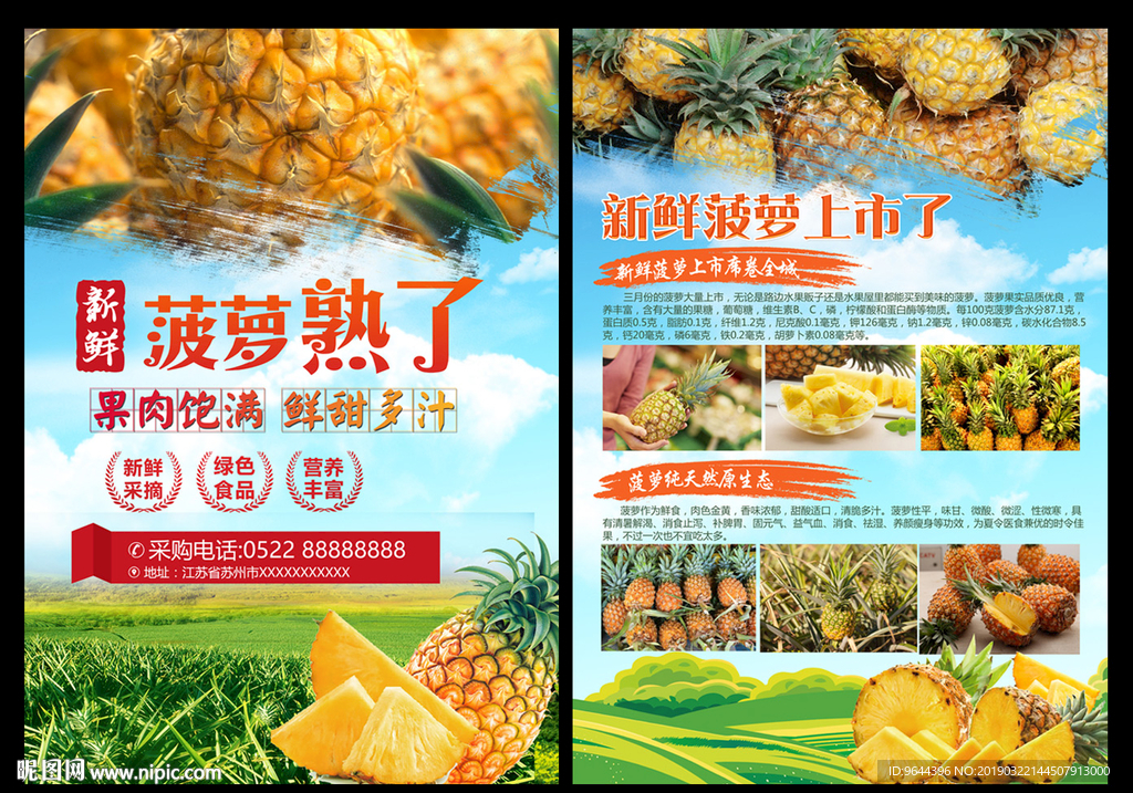 菠萝单页