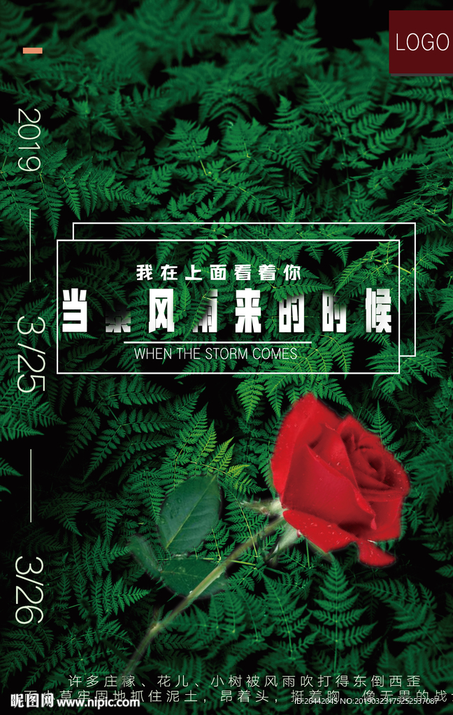 绿色玫瑰