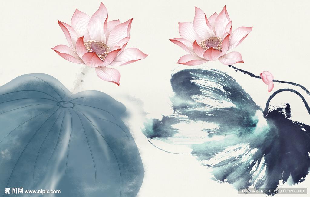 荷花