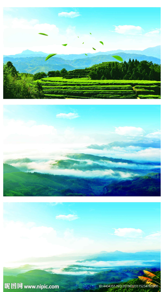 高山风景
