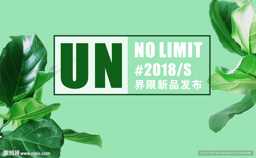 绿植大叶背景