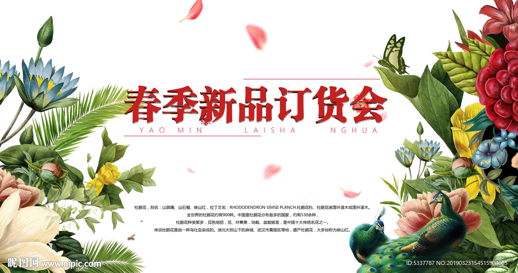 发布会主背景