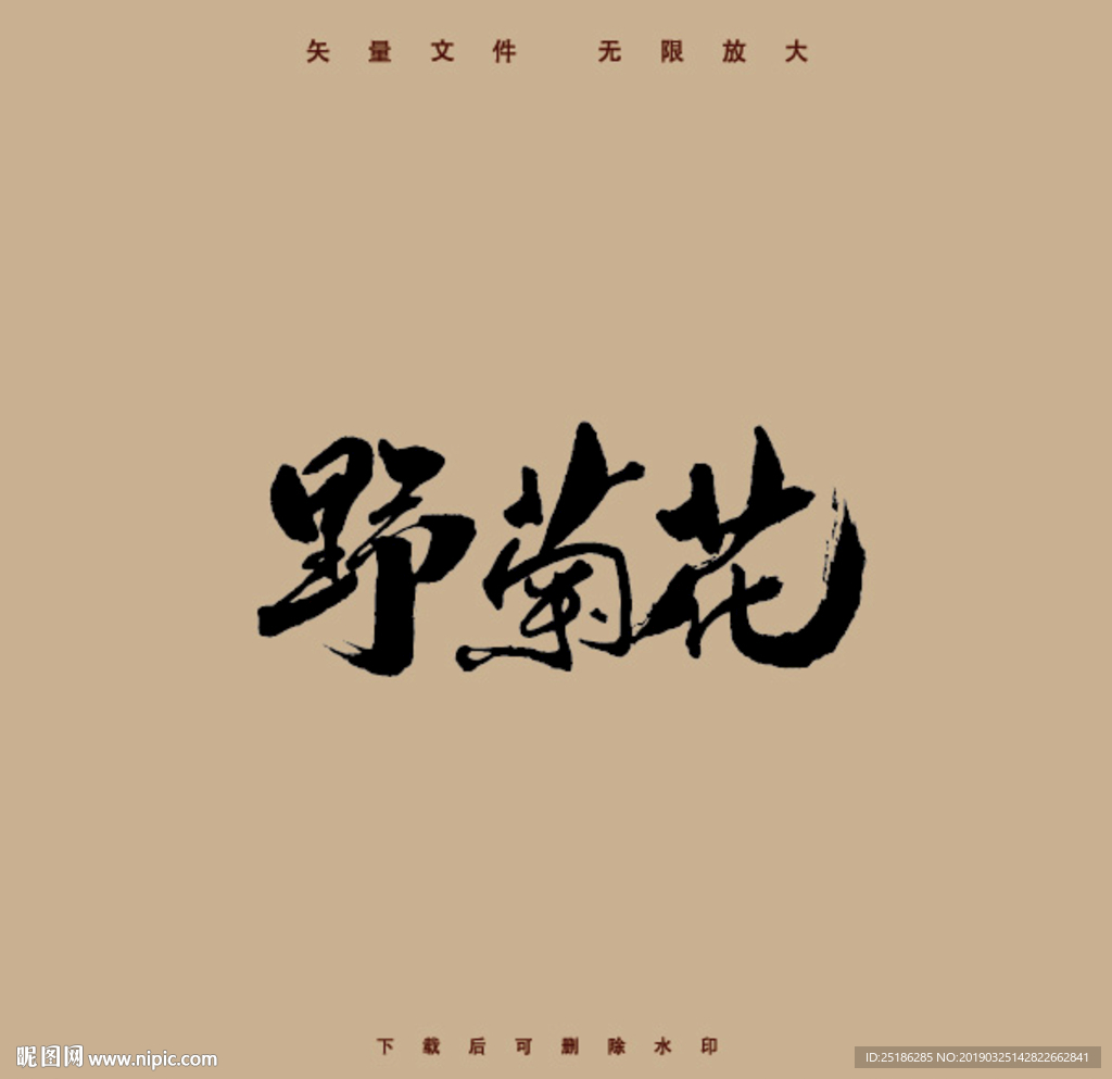 野菊花