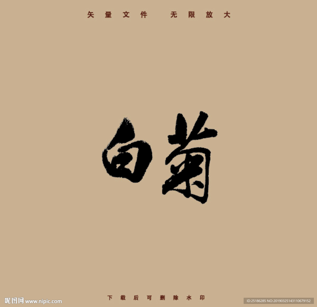 白菊