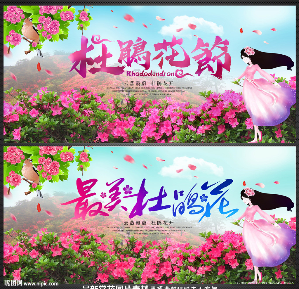 杜鹃花