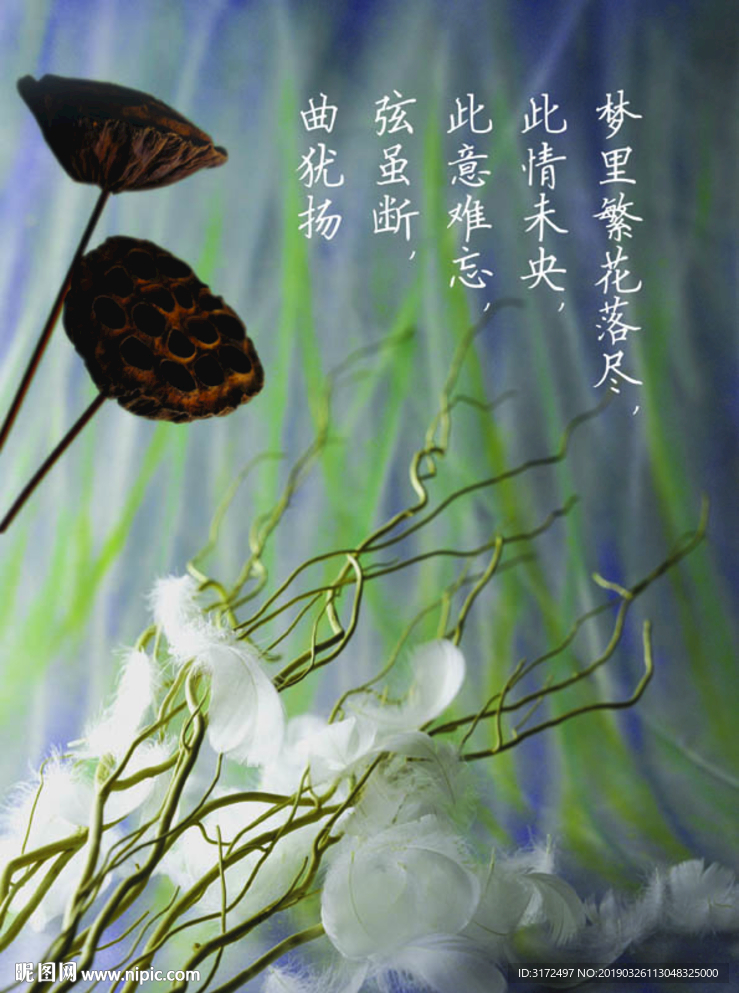 梦里繁花落尽