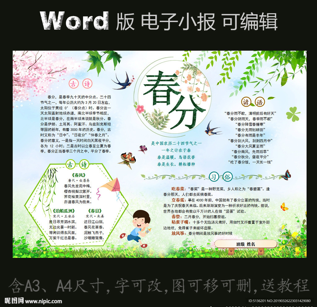 word版电子小报模板春分节气