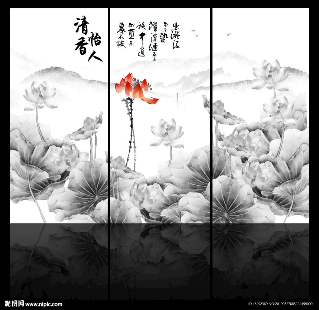 黑白荷花