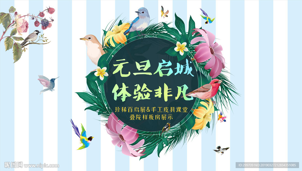 百鸟画面